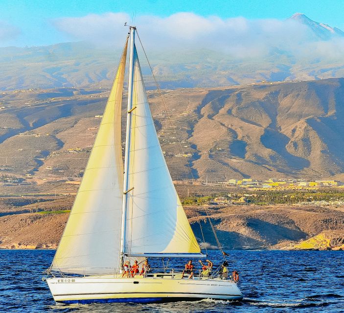 Tenerife: Sailboat Tour Whale Watching Food and Snorkeling - Price and value: why $70 feels fair on this kind of boat