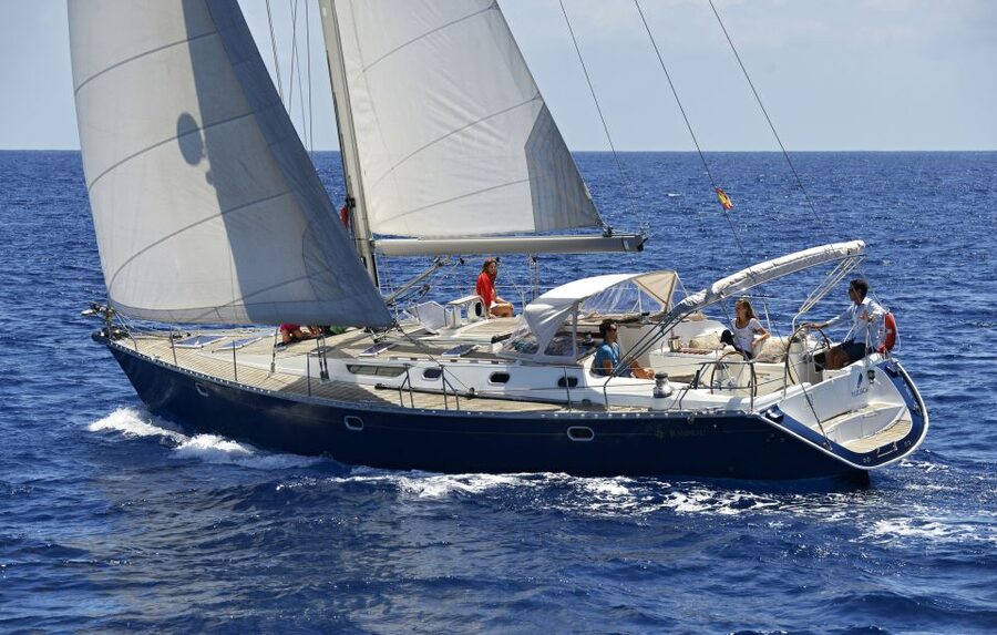 Tenerife: Sailing Excursion with Whale and Dolphin Watching - Key highlights
