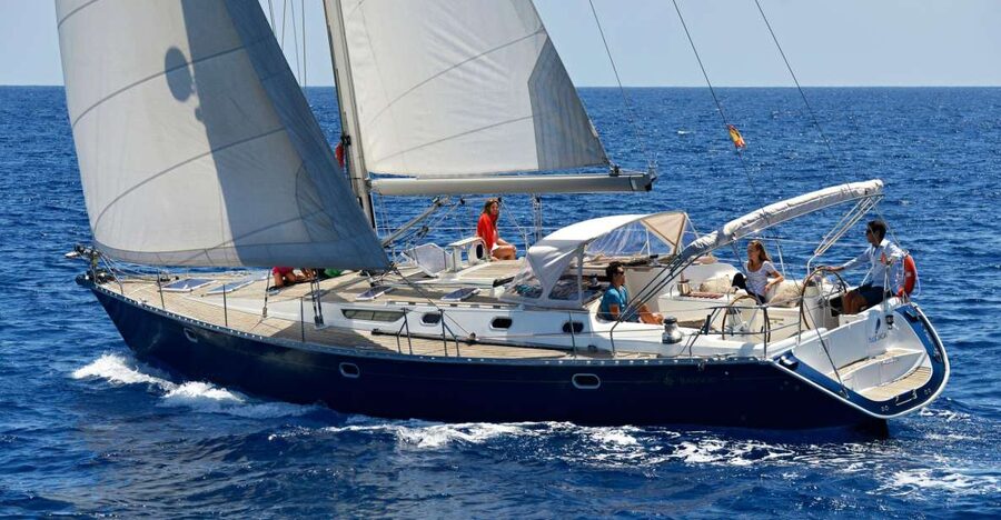 Tenerife: Sailing Excursion with Whale and Dolphin Watching - 3 Hours on a 52-Foot Yacht From Puerto Colón