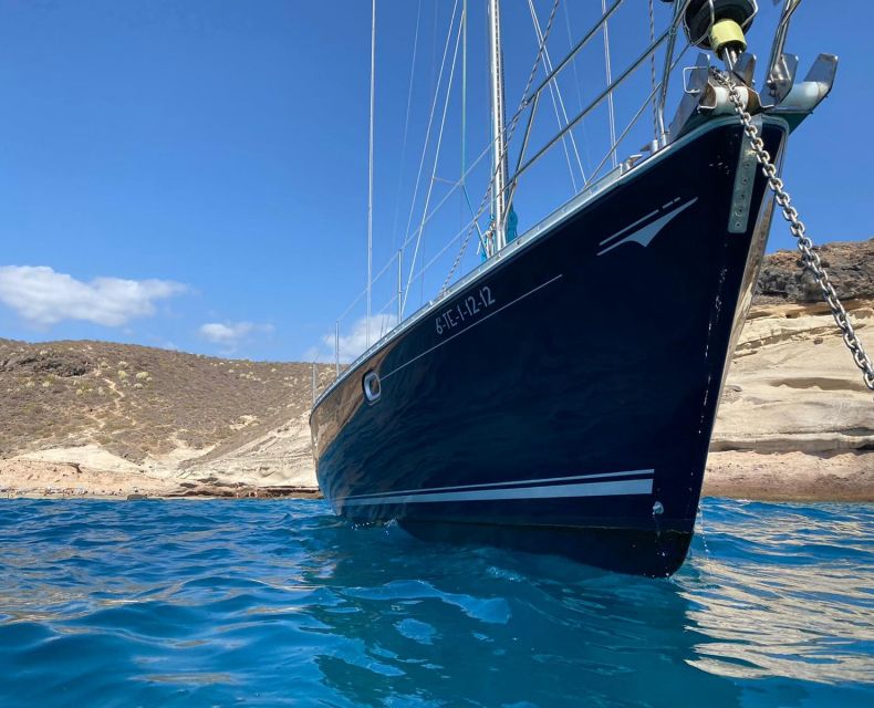 Tenerife: Sailing Excursion with Whale and Dolphin Watching - Who This Trip Fits Best