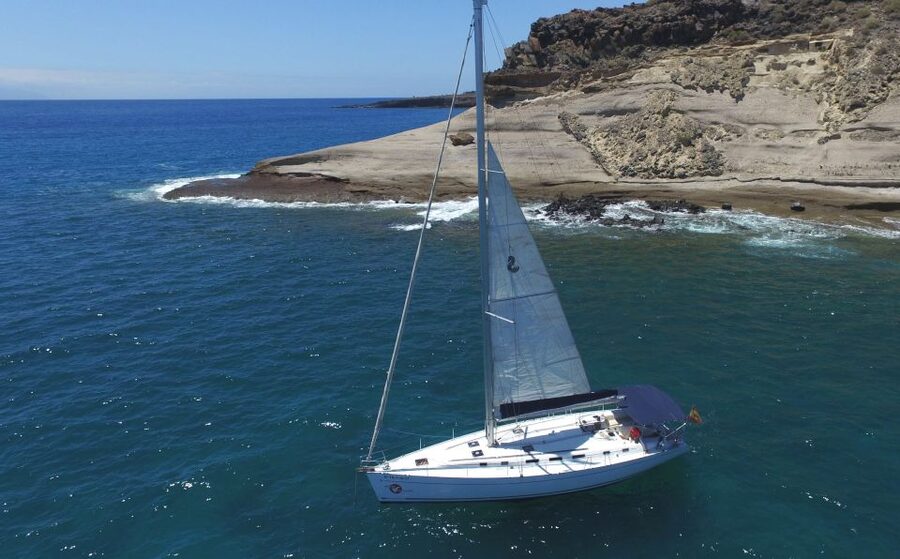 Tenerife: Whale and Dolphin Watching Tour by Sailboat - How the Crew Finds Whales and Dolphins Off Costa Adeje