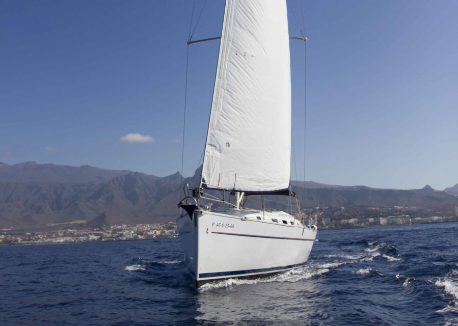 Tenerife: Whale and Dolphin Watching Tour by Sailboat - Onboard Food and Drinks: Why “Snacks Included” Matters Here