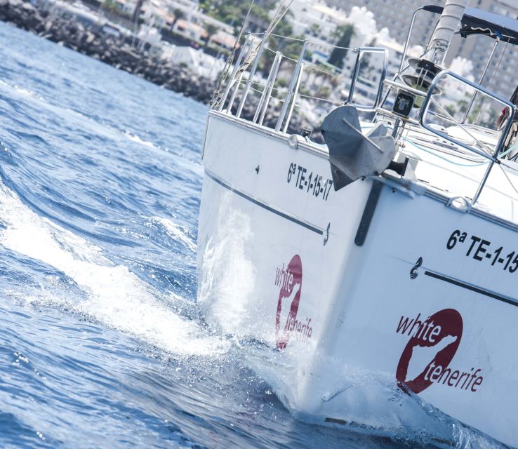 Tenerife: Whale and Dolphin Watching Tour by Sailboat - The Blue Boat Flag and Why Training Changes Everything