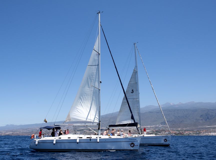 Tenerife: Whale and Dolphin Watching Tour by Sailboat - Small Group vs. Big Boat: The Comfort Tradeoff That You Can Feel