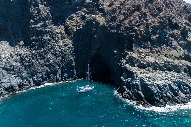 Tenerife Whale Watching and Snorkeling Yacht Trip - Key highlights to look for