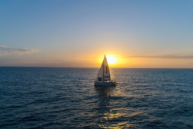 Tenerife Whale Watching and Snorkeling Yacht Trip - When the weather changes: what you can do with your expectations