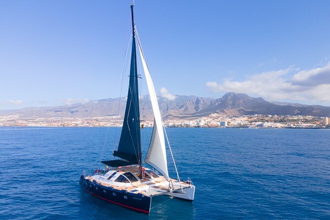 Tenerife Whales and Dolphins Watching Experience in Catamaran - The Cove Stop for Swimming and Snorkel Time