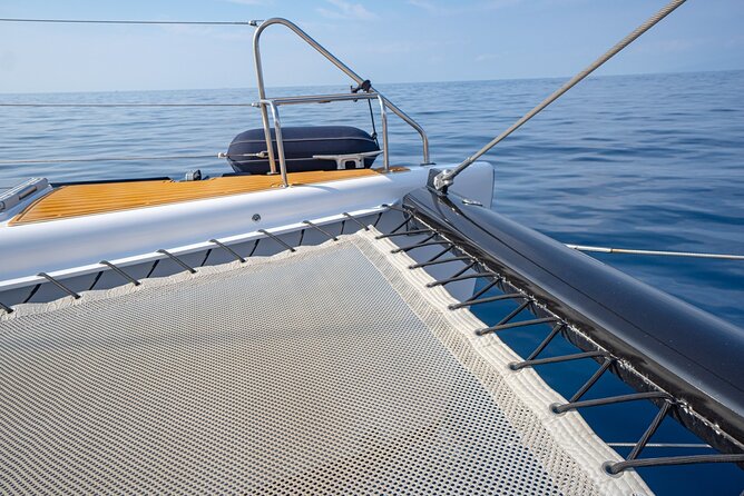 Tenerife Whales and Dolphins Watching Experience in Catamaran - What’s Included Onboard: Snacks, Drinks, and Feeling Taken Care Of