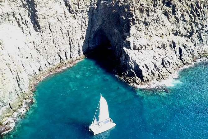 Tenerife Whales and Dolphins Watching Experience in Catamaran - Small-Group Sailing: Why Max 12 Travelers Changes Everything