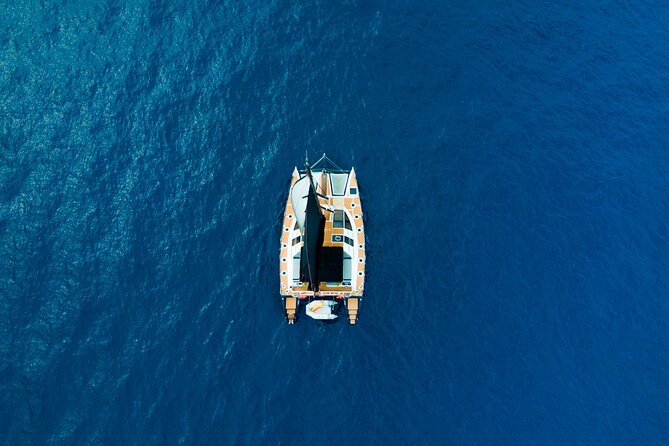 Tenerife Whales and Dolphins Watching Experience in Catamaran - Who This Trip Fits Best (and Who Might Want a Different Plan)