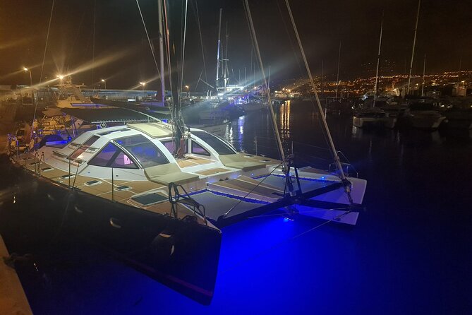 Tenerife Whales and Dolphins Watching Experience in Catamaran - Getting to the Marina: White Tenerife and a Smooth Start