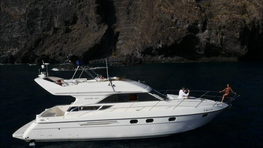 Tenerife: Whales and Snorkeling Tour on a Luxury Yacht - Key things that make this tour worth your time