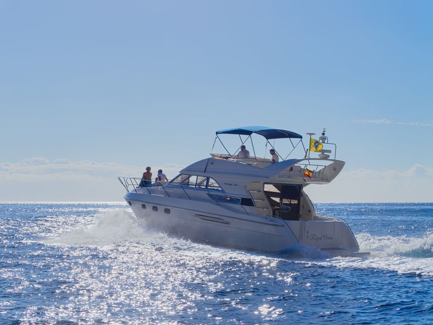 Tenerife: Whales and Snorkeling Tour on a Luxury Yacht - Weather, seasickness, and the one realistic downside