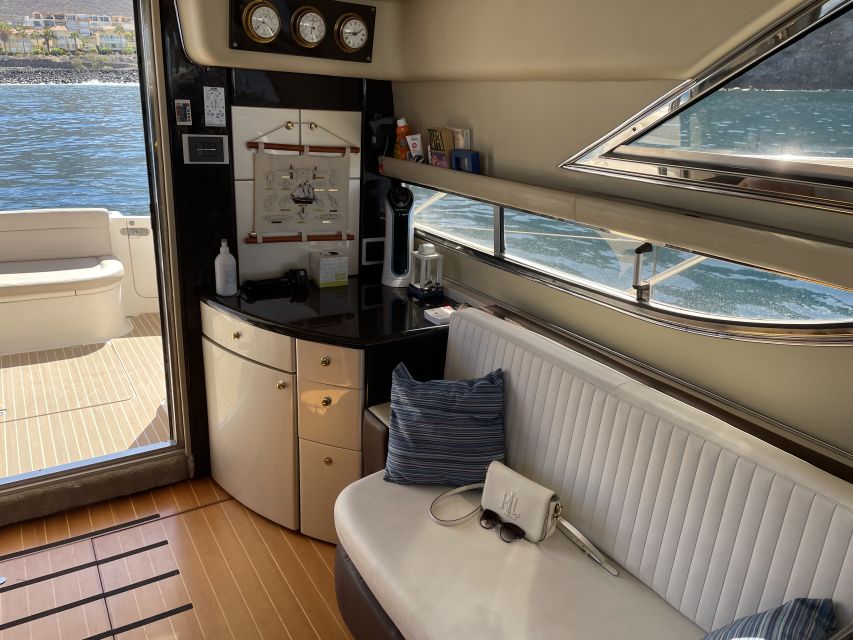 Tenerife: Whales and Snorkeling Tour on a Luxury Yacht - Whale and dolphin watching: what to expect and how to boost your odds