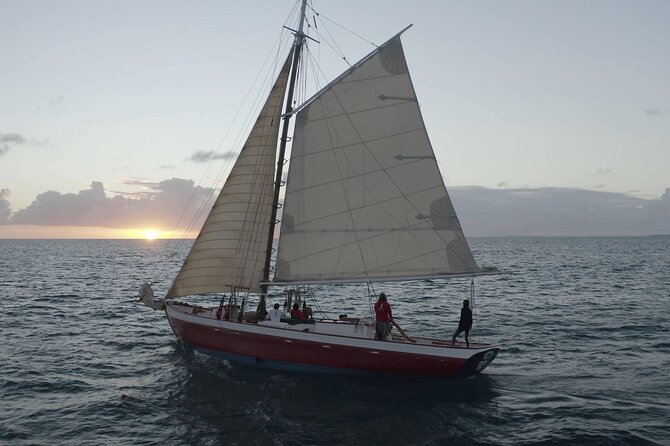 The Best Sunset Sail and Cocktail Hour in Anguilla - Wildlife Spotting Off Anguilla: Turtles, Dolphins, and Whales