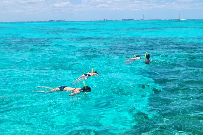 Tour to Cozumel by Catamaran with Snorkeling and Buffet Lunch - El Cielo starfish sanctuary: clear water and strict rules