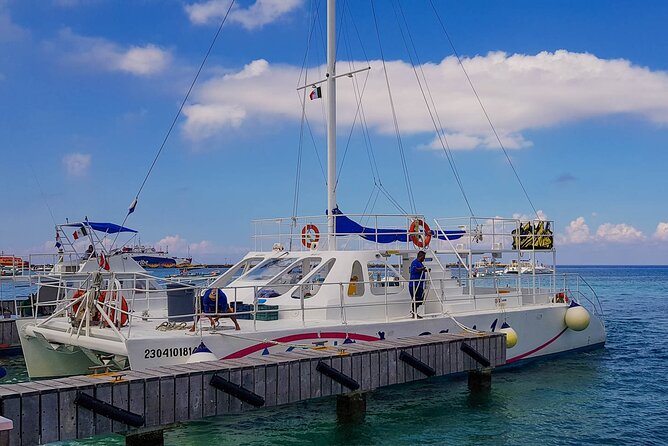 Tour to Cozumel by Catamaran with Snorkeling and Buffet Lunch - Return ferry to Playa del Carmen: back around 8:00 pm