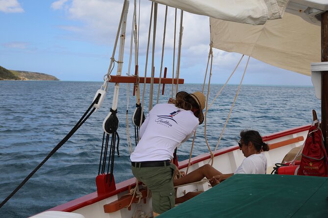 Traditional Sailing Adventure to Anguilla's Prickly Pear Cays - Morning on Tradition: Safety, History, and Wildlife Time