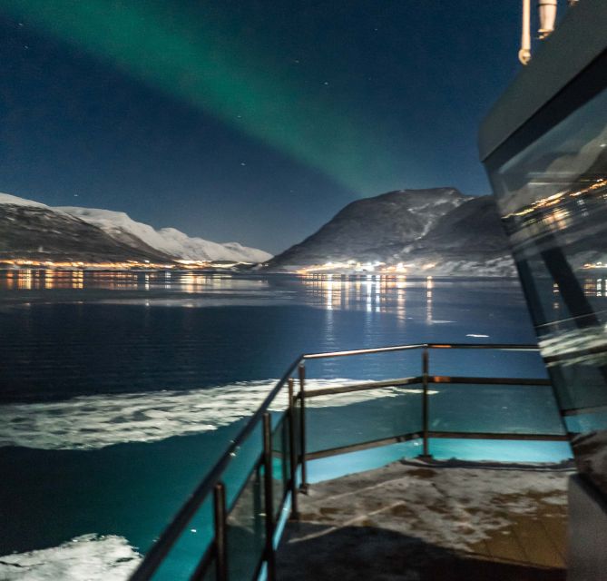 Tromsø: Aurora Dinner Cruise by Hybrid-Electric Catamaran - Price and value: is $198 worth it?