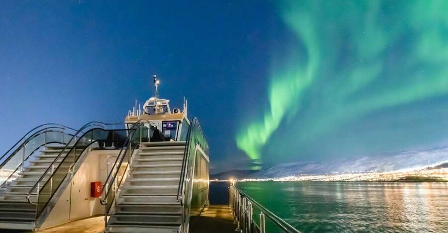 Tromsø: Aurora Dinner Cruise by Hybrid-Electric Catamaran - The vibe: why an aurora dinner cruise works in Tromsø