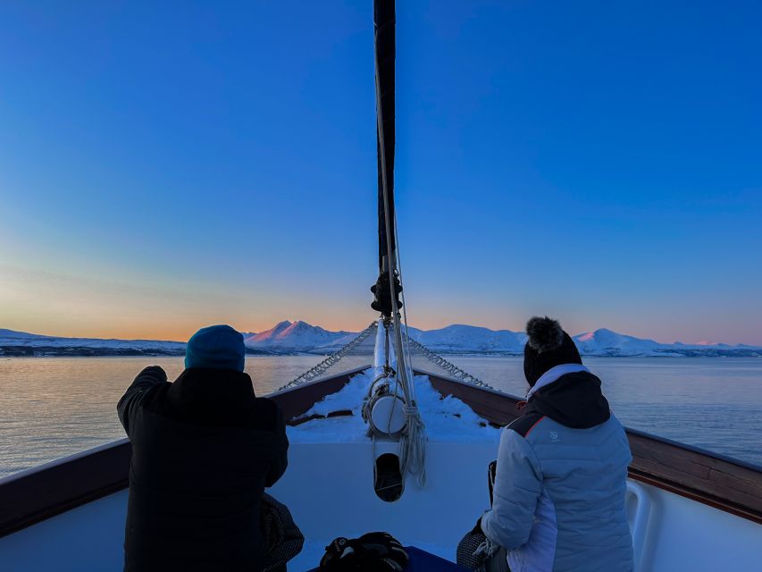 Tromsø: Luxury Polar Fjord Cruise w/ Hot Tub & Polar Plunge - Meet S/Y Stella Oceana at Tromsø’s marina