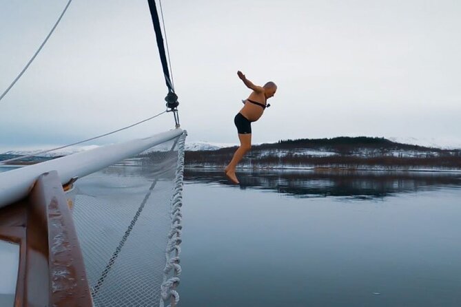 Tromso Luxury Sailing Yacht Polar Fjord Cruise with Lunch - The 4.5-Hour Flow Through Balsfjorden (and What Each Part Feels Like)