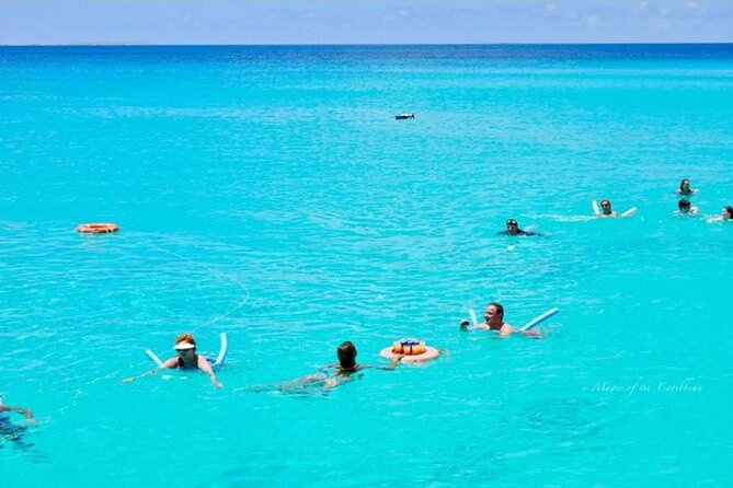 Tropical Catamaran Snorkeling & Sailing - Key takeaways before you book
