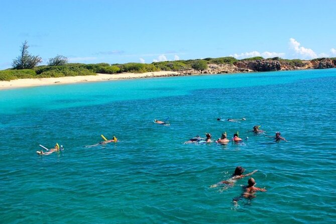 Tropical Catamaran Snorkeling & Sailing - First Stop: Little Bay Snorkeling Setup and Getting Comfortable