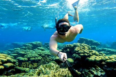 Tropical Sailing Experience with BBQ Lunch or BBQ Dinner in Aruba - Getting Started: Pickup and the Varadero Marina Launch