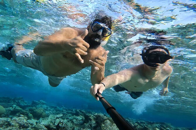 Tropical Sailing Experience with BBQ Lunch or BBQ Dinner in Aruba - Mangel Halto Reef Snorkeling: The Main Event