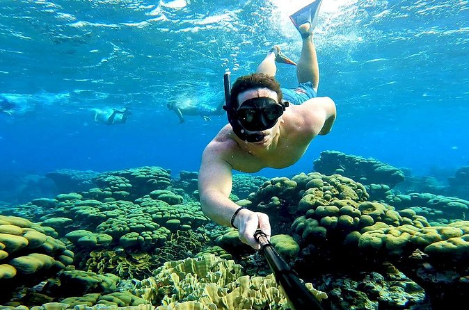 Tropical Sailing Experience with BBQ Lunch or BBQ Dinner in Aruba - Drinks and the Alcohol Rule You Should Know