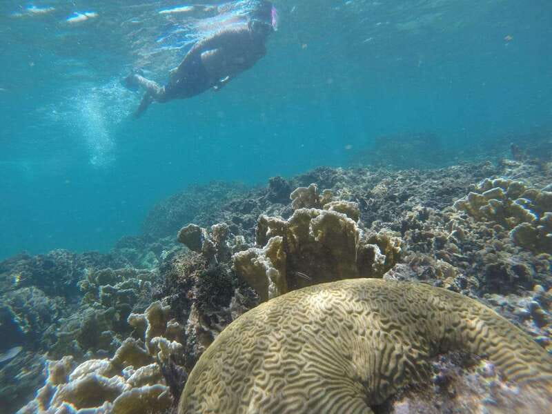 Tulum: Private Snorkel and Sailing Experience - Starting at Pocna Tulum: Where the Day Actually Begins