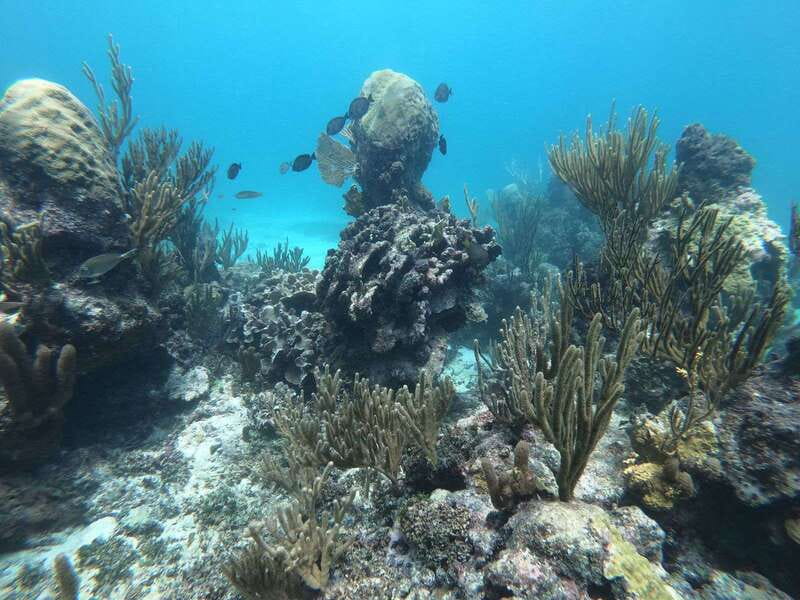 Tulum: Private Snorkel and Sailing Experience - Safety Briefing First, Fun Second