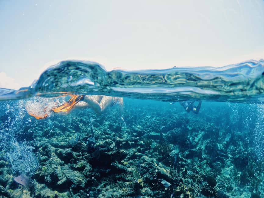 Tulum: Private Snorkel and Sailing Experience - Snack and Beach Club Time Back at Pocna