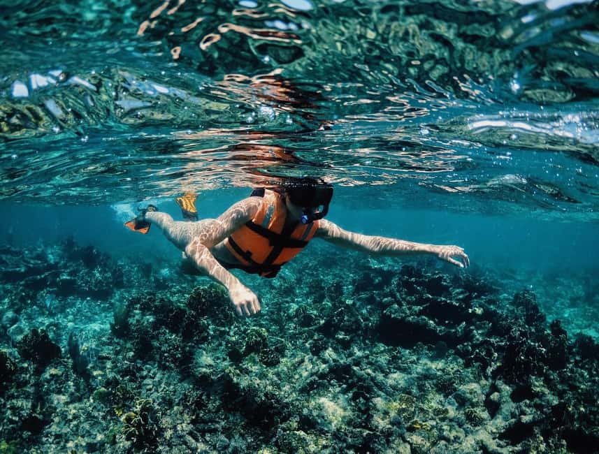 Tulum: Private Snorkel and Sailing Experience - Price and Value: What $80 Buys You in Real Terms