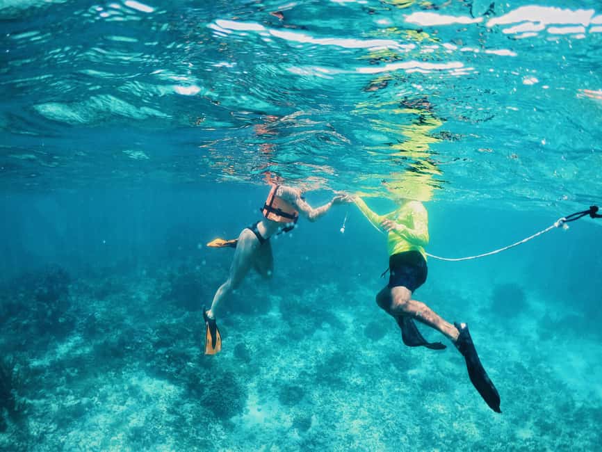 Tulum: Private Snorkel and Sailing Experience - What to Bring (and What to Leave Behind)
