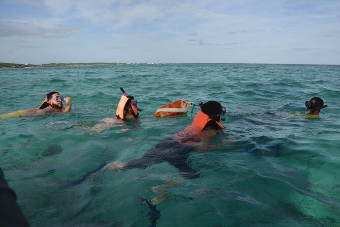 Tulum: Snorkeling and Private Sailing Tour - The bottom line: should you book this Tulum catamaran sail-and-snorkel?