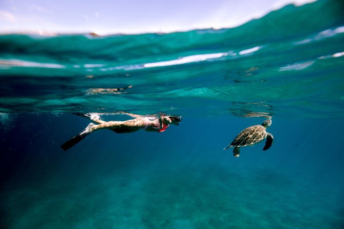 Turtle Cove Catamaran Snorkel and Sail at Little Buck Island STT - Key things that make Turtle Cove on Little Buck Island worth it