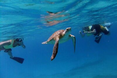 Turtle Cove Catamaran Snorkel and Sail at Little Buck Island STT - Boarding The VI Cat: check-in timing and getting to the right Marriott