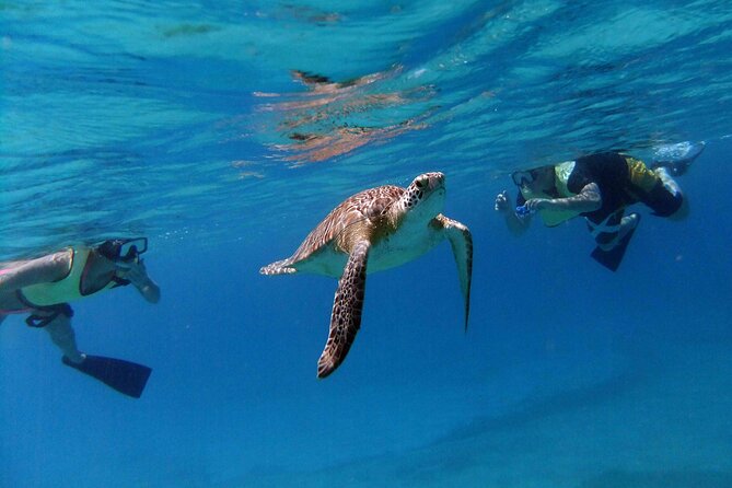 Turtle Cove Catamaran Snorkel and Sail at Little Buck Island STT - Boarding The VI Cat: check-in timing and getting to the right Marriott