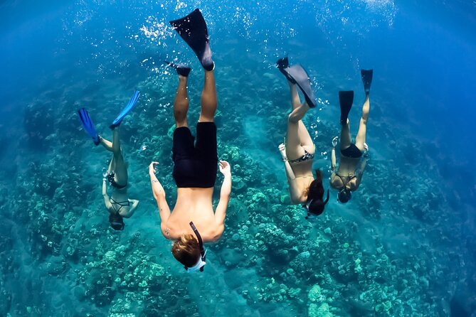 Turtles & Tacos Luxury Catamaran Snorkel - The catamaran comfort that makes 3 hours feel long
