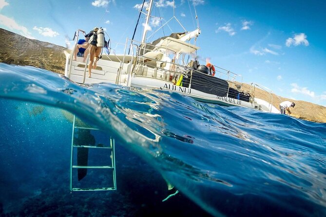 Turtles & Tacos Luxury Catamaran Snorkel - The photo team onboard: how to decide on buying pictures