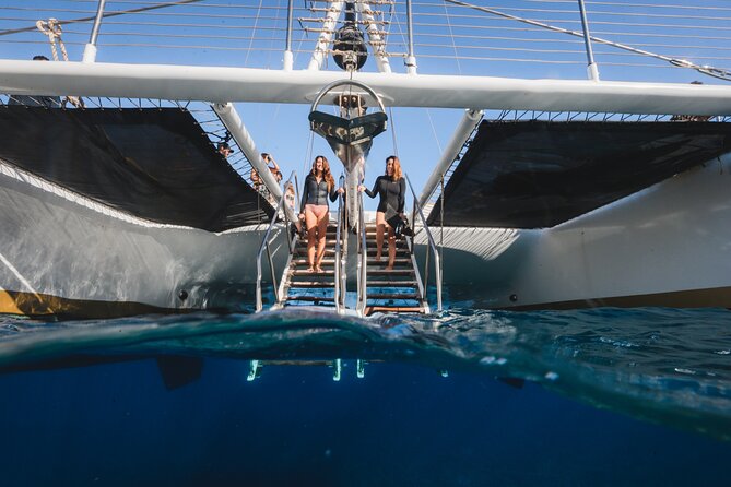 Turtles & Tacos Luxury Catamaran Snorkel - Tips to avoid common trip snags (parking, pier pickup, sunscreen)