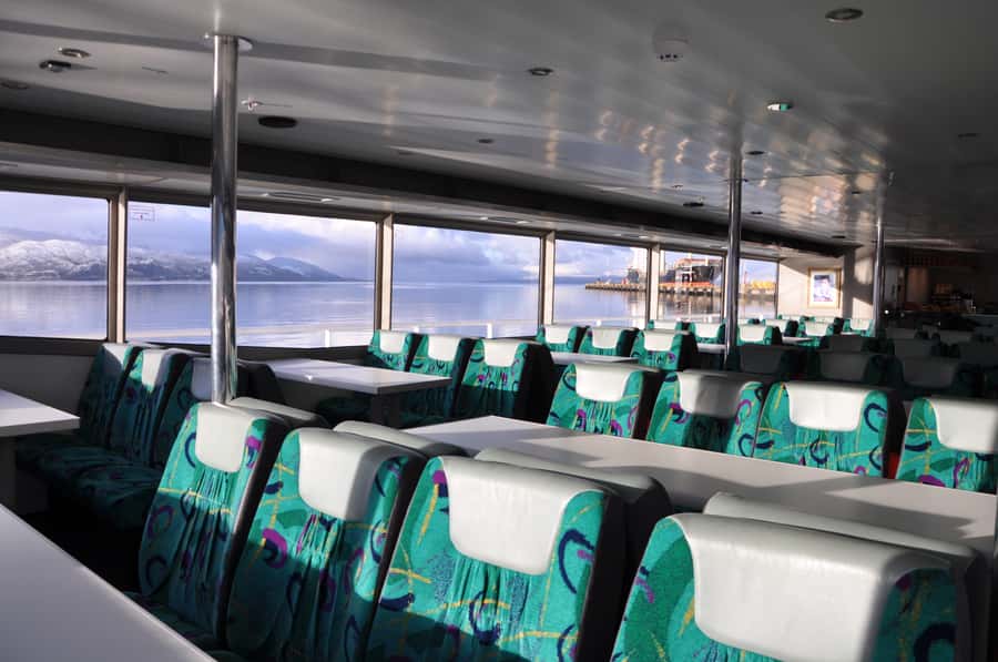 Ushuaia: Beagle Channel & Sea Wolves Island Catamaran Cruise - Sea Lion Island in the Bridges Archipelago