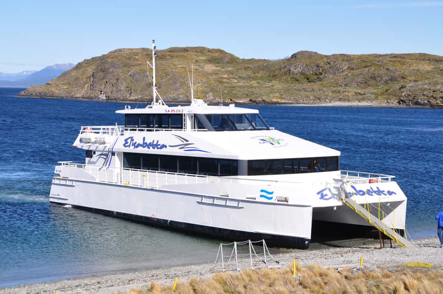 Ushuaia: Beagle Channel & Sea Wolves Island Catamaran Cruise - Les Eclaireurs lighthouse: imperial cormorants and a 1930 shipwreck story