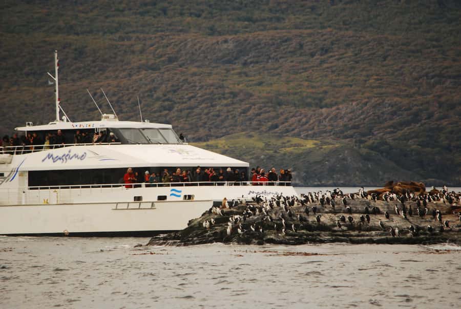Ushuaia: Penguin Watching Tour by Catamaran - Cruising Out of Ushuaia Bay and Through Paso Chico