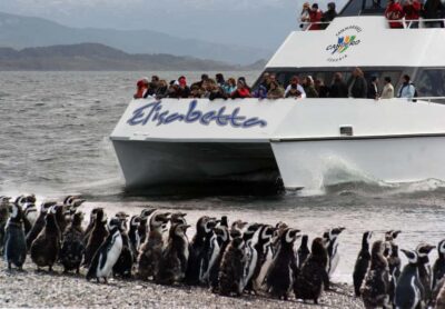 Ushuaia: Penguin Watching Tour by Catamaran - Getting Oriented at Canoero: Start Early, Stay Calm