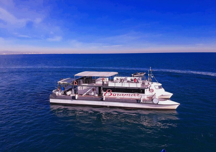 Valencia: Catamaran Cruise with Stop for Swimming - A 90-minute catamaran break that centers on sun and a real swim