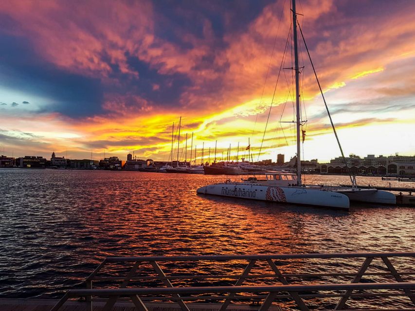 Valencia: Catamaran Cruise with Sunset Option - Who should book this (and who might want to skip it)