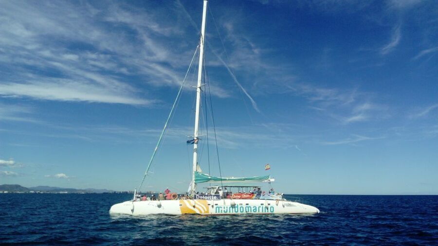 Valencia: Sailing Catamaran Cruise with Valencian Lunch - Price and value: why $50 feels reasonable for what you get